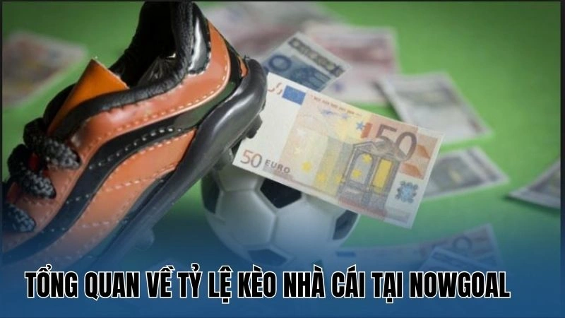 Hướng dẫn cách tính tỷ lệ kèo cơ bản