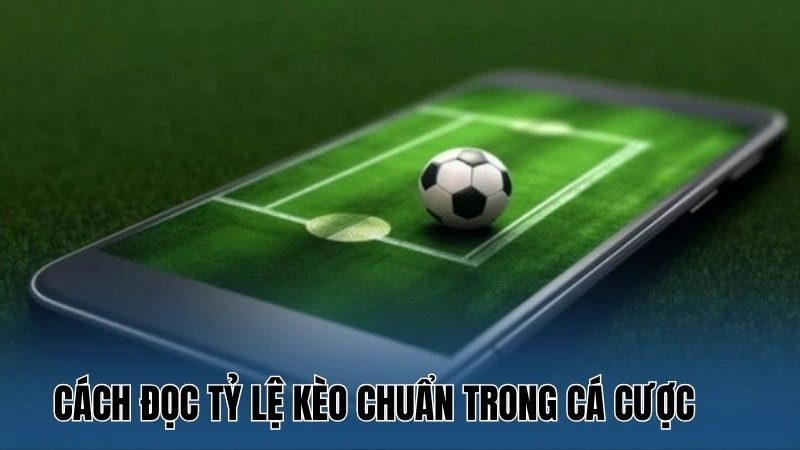 Cách đọc tỷ lệ kèo chuẩn trong cá cược cần biết